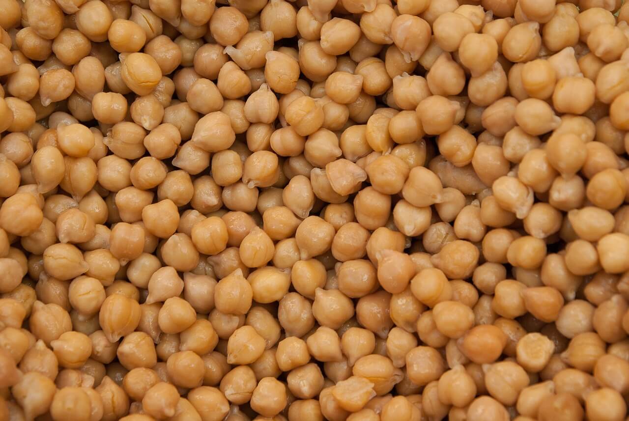Can Dogs Eat Chickpeas And What You Need to Know