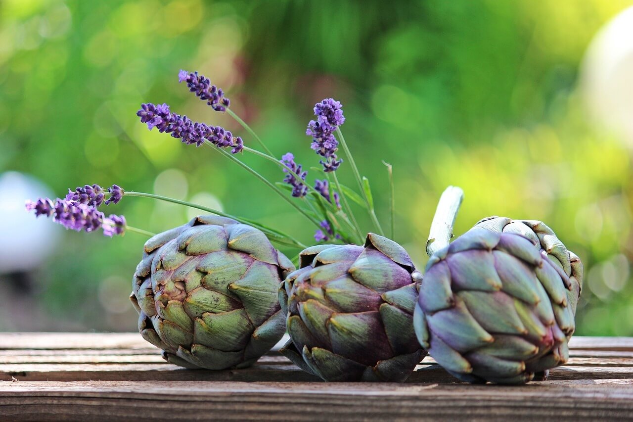 Can Dogs Eat Artichokes A Complete Guide