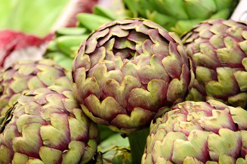 Health Benefits of Artichokes for Dogs